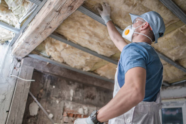 Types of Insulation We Offer in Lithia Springs, GA