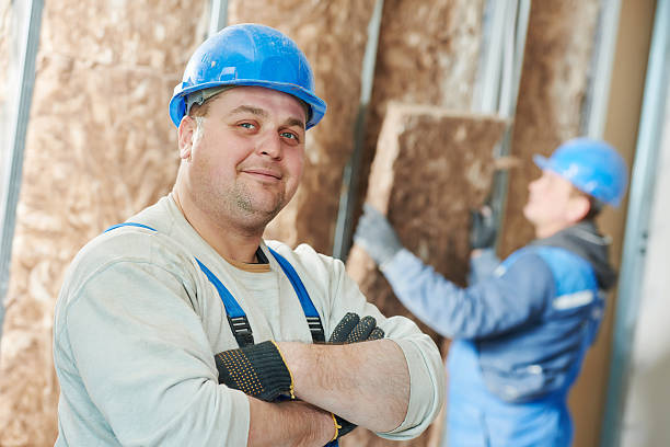 Best Insulation Maintenance and Repair in Lithia Springs, GA