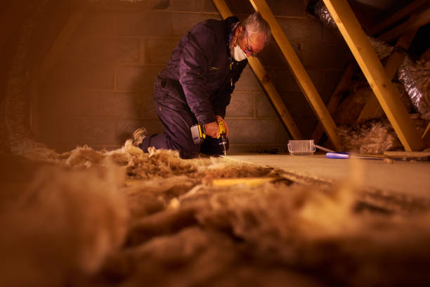 Best Insulation for Specific Applications in Lithia Springs, GA
